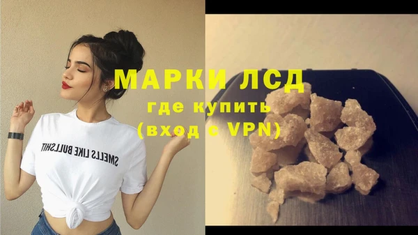 прущие грибы Балахна