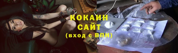прущие грибы Балахна