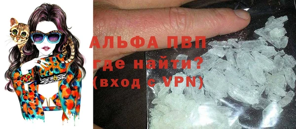 прущие грибы Балахна