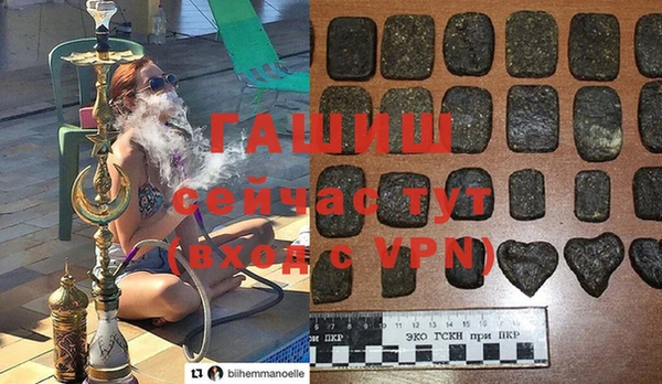 прущие грибы Балахна