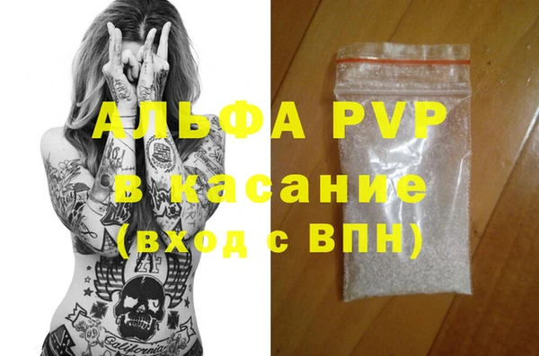 прущие грибы Балахна